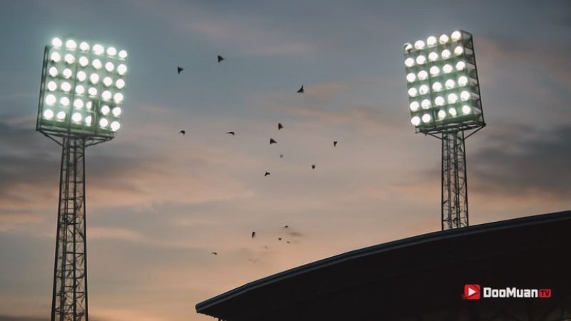 ดูบอลฟรีไทยลีก กับบทบาทแฟนบอลต่อจังหวะทีมเหย้า